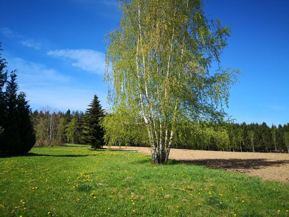 Ferienwohnungen 1 Bis 4 "Pumphut'S Scheune" Lengenfeld  Zewnętrze zdjęcie