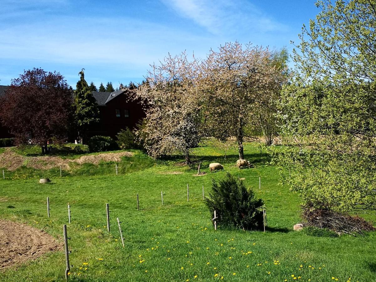 Ferienwohnungen 1 Bis 4 "Pumphut'S Scheune" Lengenfeld  Zewnętrze zdjęcie